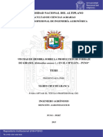 Cruz_Huaranca_Mario.pdf