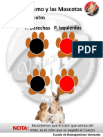 Protocolo Bio-Mascotas PDF