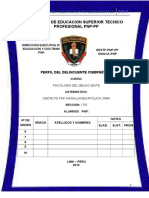 Perfil Del Delincuente Cibernetico