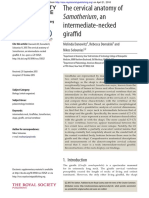 Samotherium, An: The Cervical Anatomy of Intermediate-Necked Giraffid