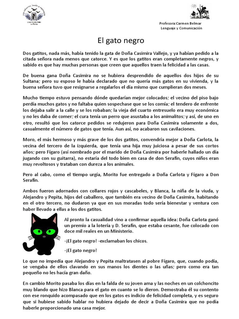 7.6x3.8 Cm Parches Bordado Gatitos - 2 Unidades - Para Ropa, Jeans, Bolsos  - Plancha O Cose - Negro Y Gris Apliques Ropa Coser, image size:768x1024