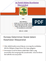 Determinan Sosial Dalam Kesehatan Masyarakat