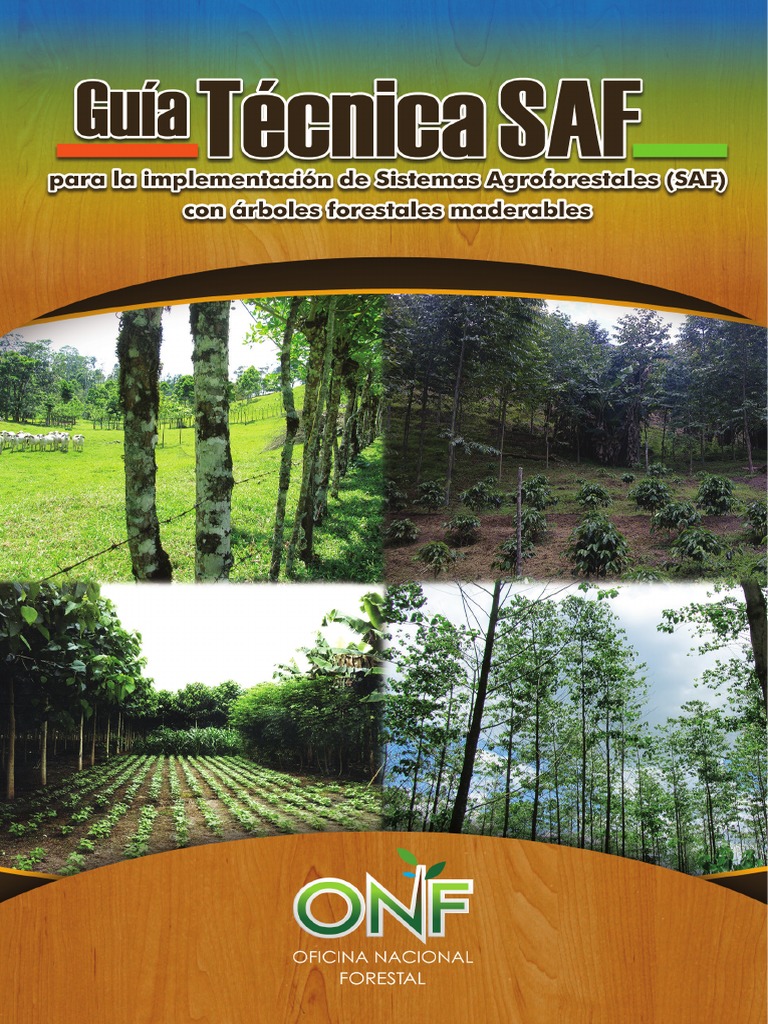 Guia SAF PDF | PDF | Forests | Trees