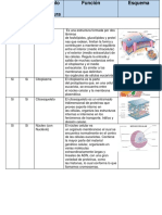 Celulas (biologia contemporanea).docx