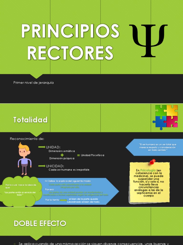 Principios Rectores | PDF | Justicia | Crimen y violencia