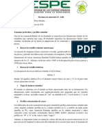 Consulta_Tamaños_y_perfiles-Determinacion_de_esfuerzos.docx