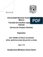 Universidad Nacional Autónoma de México Facultad de Estudios Superiores Iztacala Carrera de Cirujano Dentista