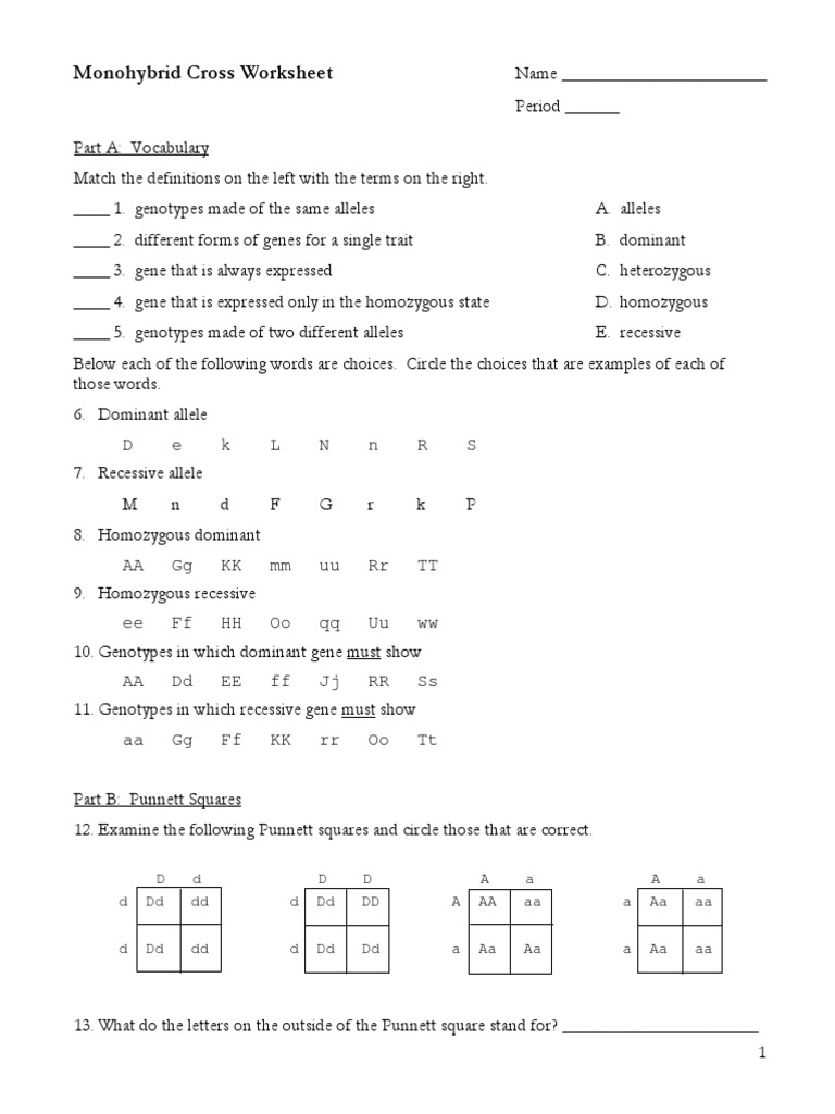 Monohybrid Cross Worksheet D e K L N N R S PDF Dominance