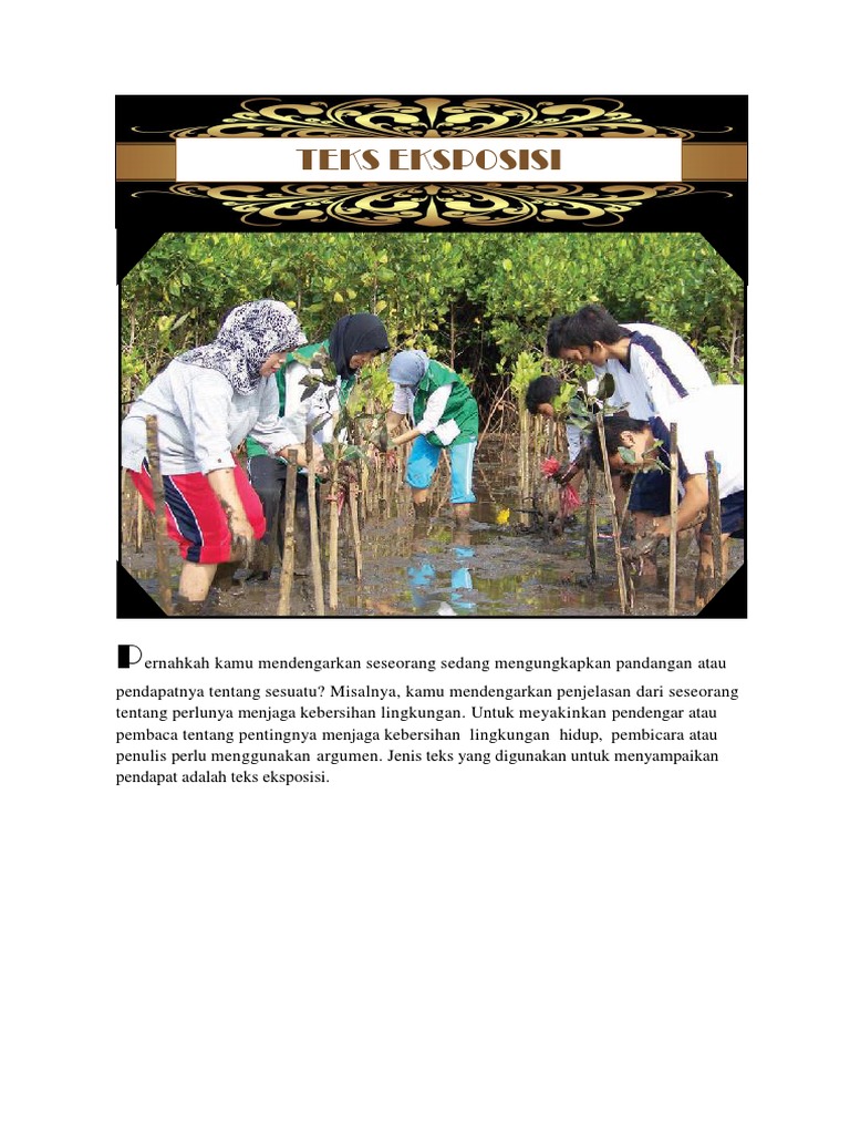 Contoh Teks Eksposisi Tentang Buah Naga Berbagai Contoh