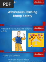 Airport Ramp Safety Guidelines | PDF | Occupational Safety And Health ...