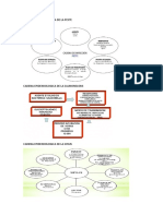 Cadena Epidemiologica de La Peste