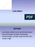 Luka Bakar