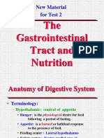 Anatomia Del Sistema Digestivo