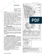 -Anatomia y Fisiologia