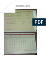 Curs 1 Sindromul Anemic 