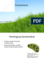 fotosintesis.ppt