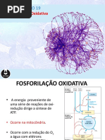 Fosforilacao oxidativa