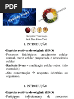 AULA 4 Radicais Livres