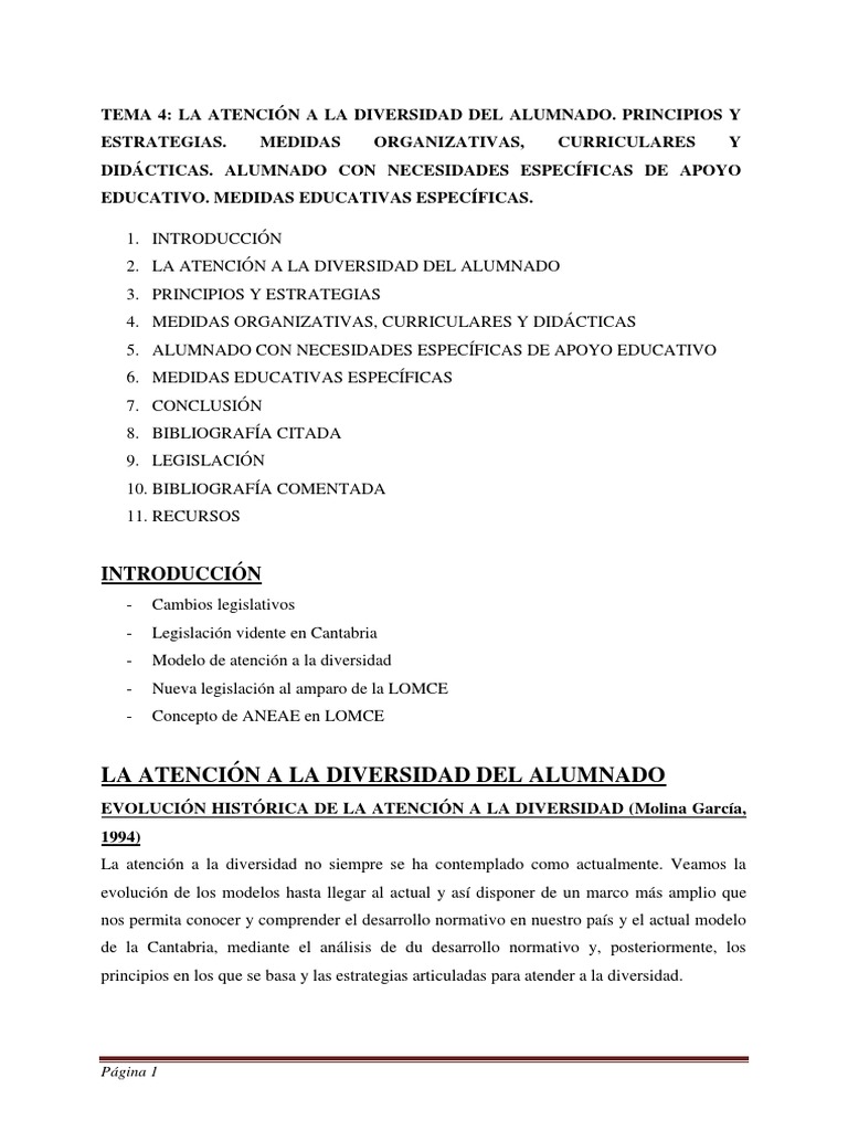 Atención a la Diversidad Educativa | PDF | Evaluación | Plan de estudios