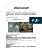 tiposArboles.pdf
