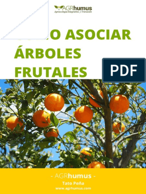 Arboles Frutales | PDF | Suelo | Agricultura
