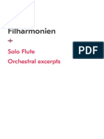 Oslo Filharmonien Solo Flute Orchestral Excerpts