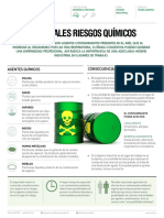 Principales Riesgos Quimicos PDF