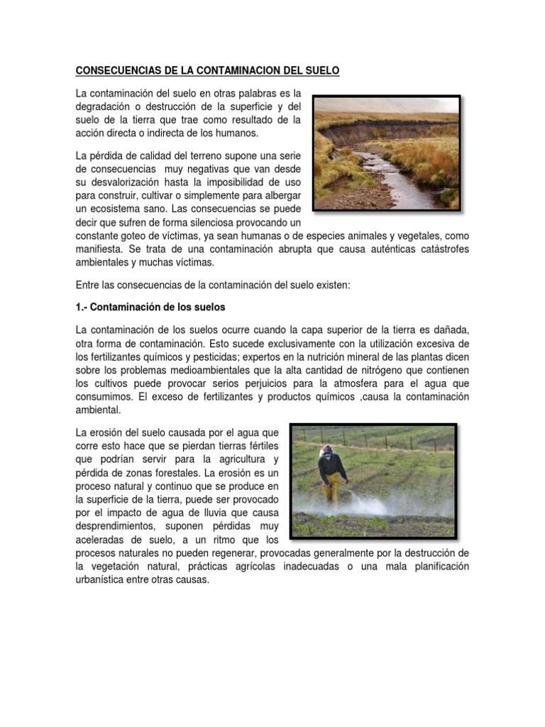 Consecuencias de Contaminación del Suelo | PDF | Destrucción del ...