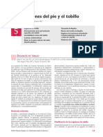 CAPITULO 5 Lesiones Del Pie y El Tobillo PDF