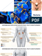 VB y Vaginitis - Dr. Steve Hurtado