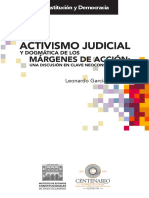 Activismo Judicial y Dogmática de Los Margenes de Acción