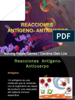 Reaccionesantgeno Anticuerpo 130419015351 Phpapp01 (2)