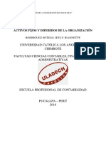 Activos Fijos y Defiridos de Una Organizacion PDF