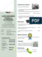 Curriculum Vitae