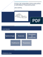 Fracturas de Radio Distal