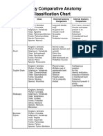 Zoology Comparative Anatomy Classification Chart 2
