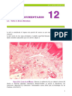 sistema tegumentario histologia capitulo 12 final.pdf