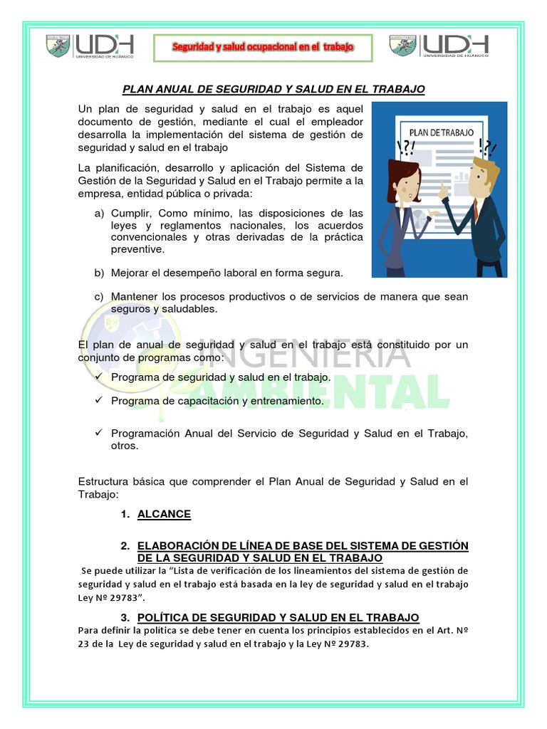 Plan Anual de Seguridad y Salud Laboral | PDF | Presupuesto | La seguridad