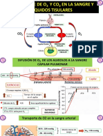 Transporte de O2 y Co2