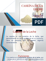 Caseína de La Leche