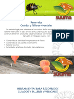 TALLERES VIVENCIALES SURUMA