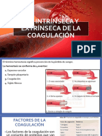 Vía Intrínseca y Extrínseca de La Coagulación