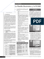 Plame PDF