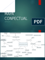 Mapa Conpectual Cap 9