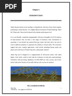 arun report.doc