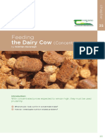 Feeding Diary Cow Concentrate