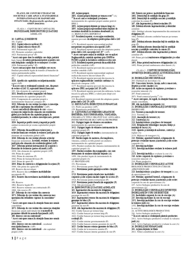 Plan Conturi | PDF