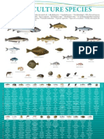 Poster Aquaculture