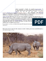 Rinocer: Rinocerii (Familia Rhinocerotidae) Reprezintă o Familie de Mamifere