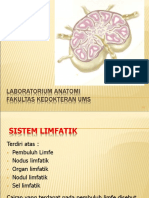 SISTEM LIMFATIK